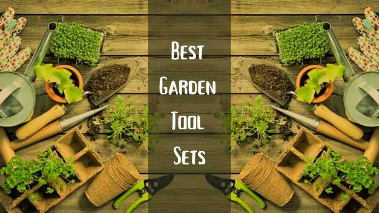 Top Gardening & Landscaping Tools for 2025