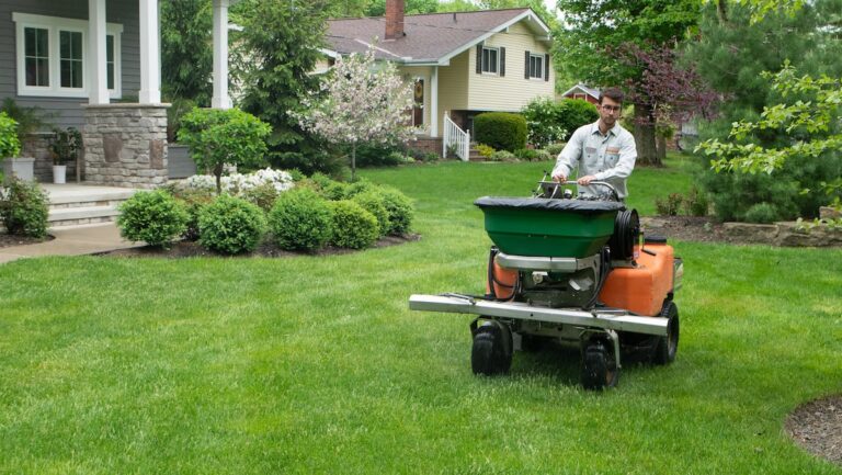 Fertilizer Lawn Service