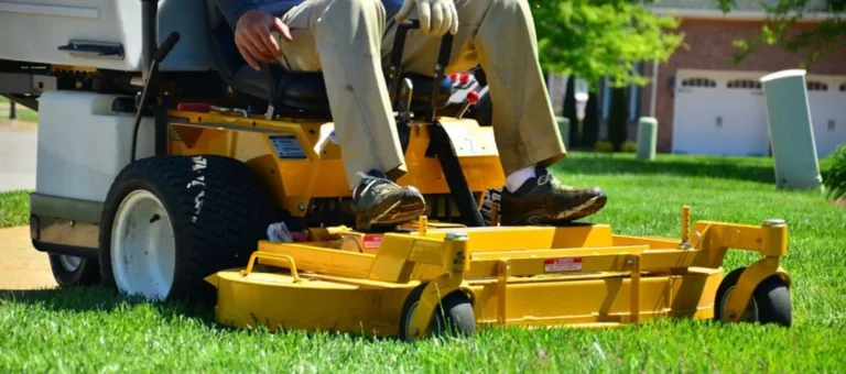 Premium Apollo Beach Lawn Care Services