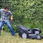 Home Lawn Care Near Me