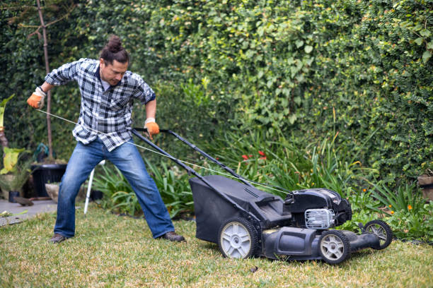 Home Lawn Care Near Me