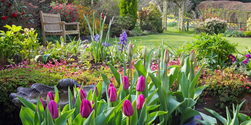 Buy Garden Haven Plants Online