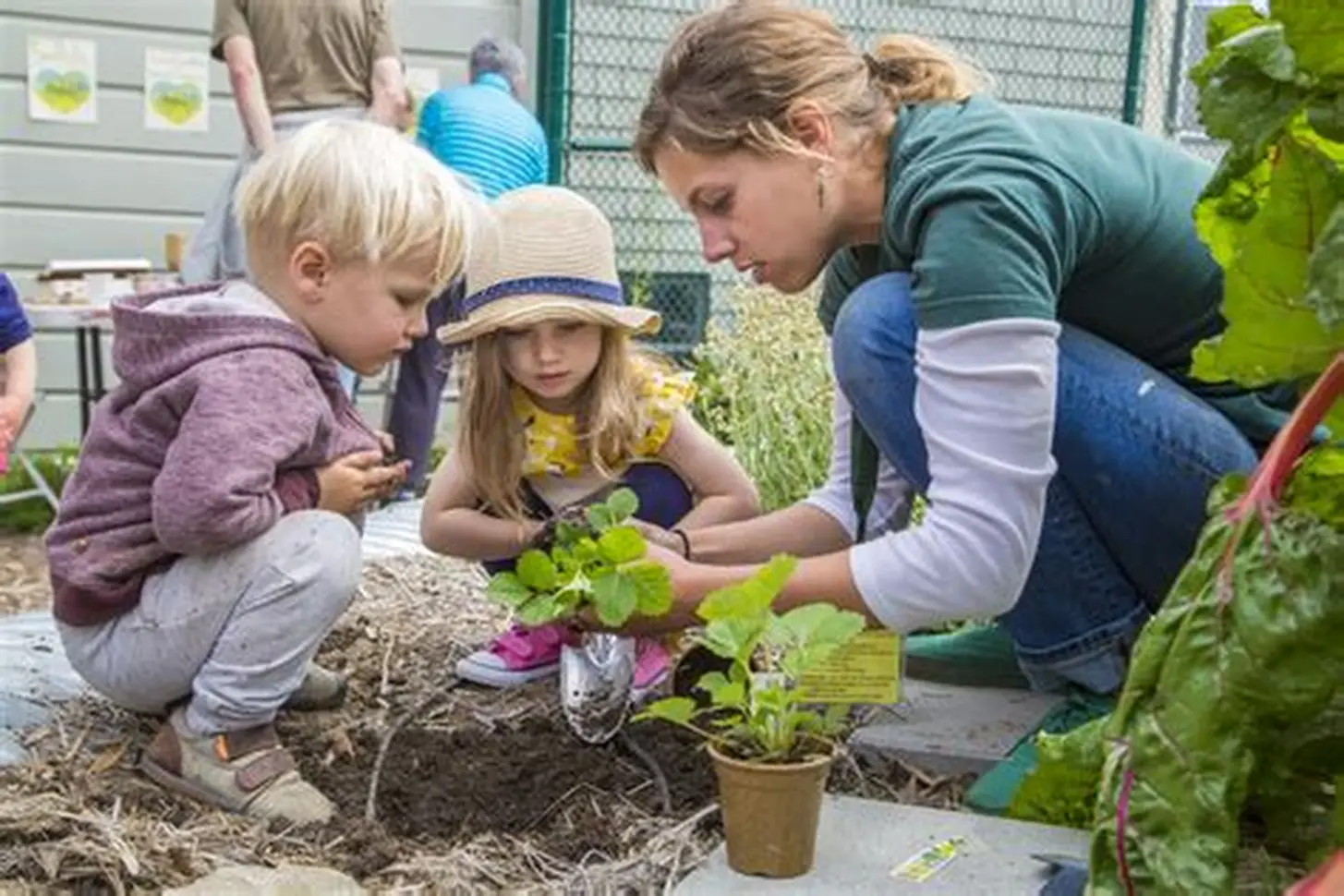 Home Care Package Gardening Services – Affordable Light Gardening Support Included