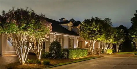 Best Landscape Lighting Designer Near Me