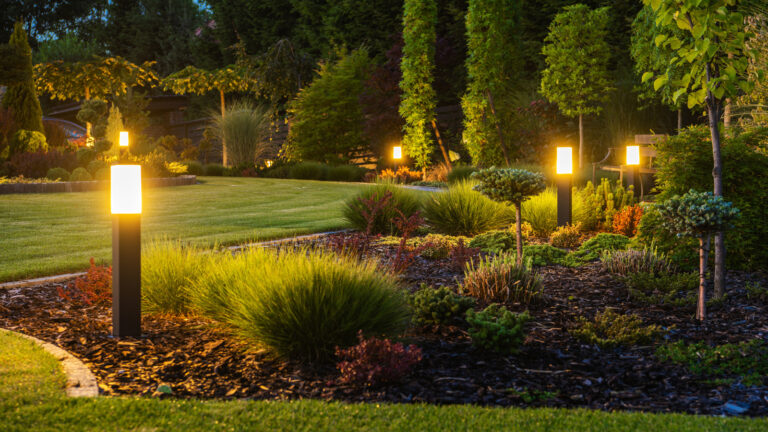 Buy Moonlighting Landscape Lighting Kits & Design Services