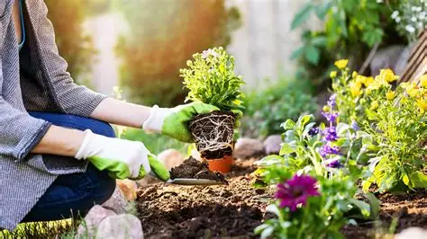 How to Best Care for Your Garden
